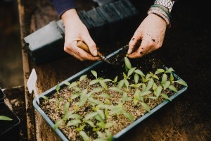 Supporting John Lewis Partnership to meet its sustainability goals – high quality data for a high quality partnership