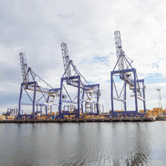 PD Ports boosts sustainability and cost savings with automatic metering